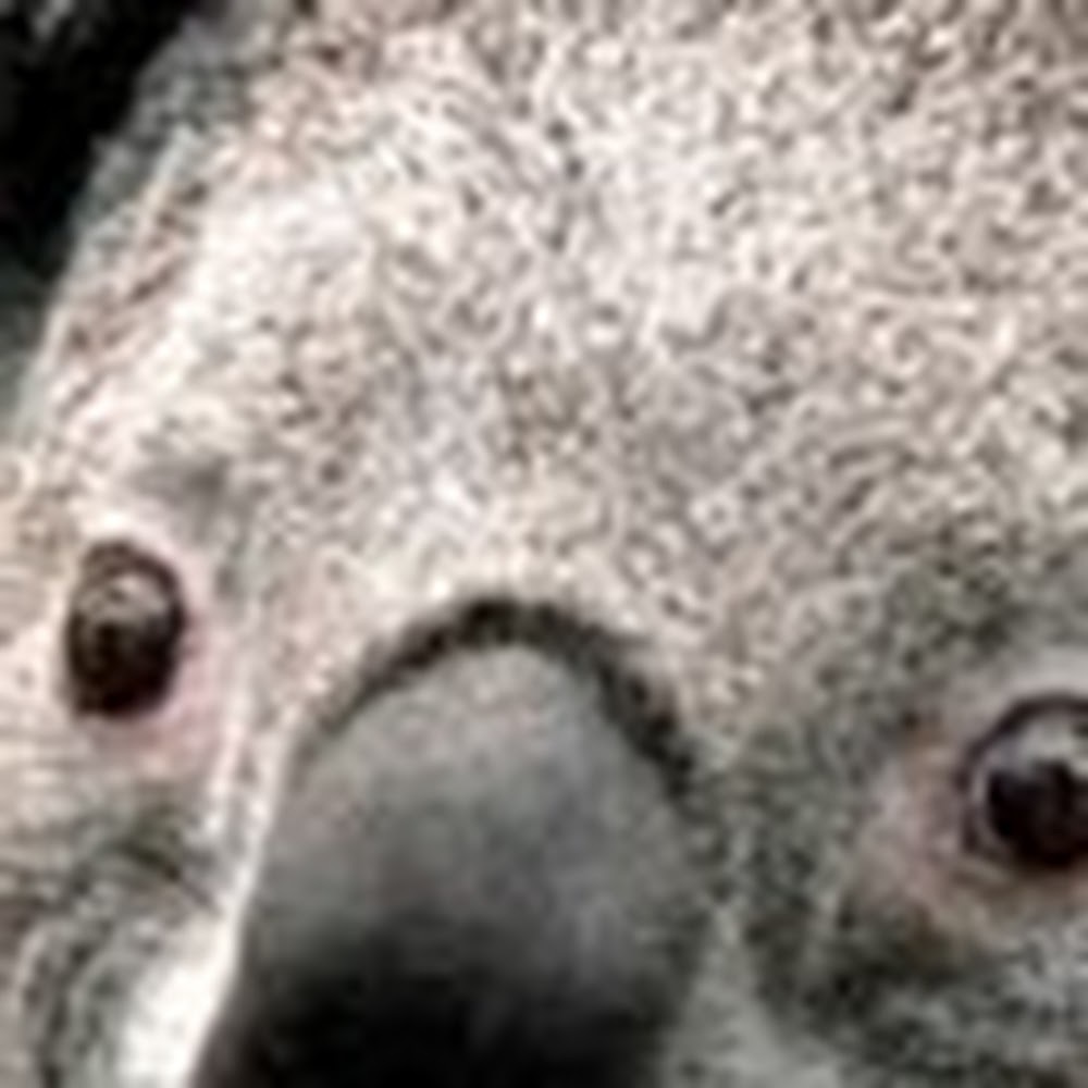 Meet your Posher, Kendra